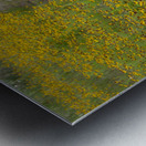 Pathway Series-5 Wichita Mountains Wildflower Path Metal print