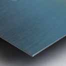 Underwater Pacifier II Metal print