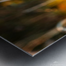 jludwigButterflyjpeg 16 Metal print