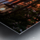 jludwigButterflyjpeg 3   Copy Metal print