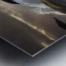 Jumping Dolphin Metal print