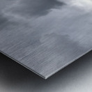 FloridaTide Metal print