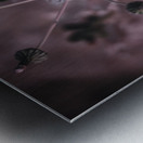 Whispers of Nature: Capturing the Essence of Dandelion Seeds Metal print