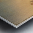 The Rescue Of William Doyly Metal print