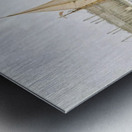 SS 'Great Eastern' Metal print