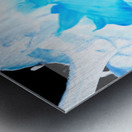 Bonnie Turquoise Sunflowers Metal print