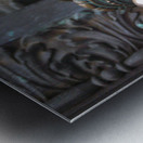 Budapest2 Metal print