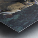 LubjyanaR Metal print