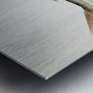 Antique drawing watercolor fish Emmelichthys Nitidus marine life. South Pacific Fishes by Frank Edward Clarke 1849-1899. Metal print