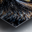 Eye of the Cat Close Up Metal print
