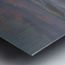 IMG 0842 Metal print