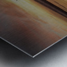 464C0D27 62C5 4BD8 8CDA CAA69BCA41FF Metal print