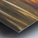 IMG 7726 Metal print