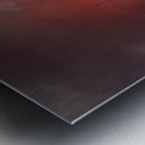 Bald Eagle Red Sky Metal print