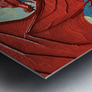 IMG 7812 Metal print