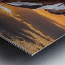 PAINT HORSE IN FLOWERS Metal print