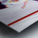 Japan  Girl Metal print