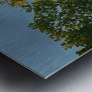 Eagle in the storm Metal print