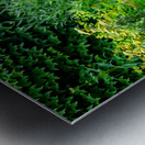 Lavender Near the Steps Metal print