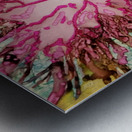 Flamingo Frolic Metal print