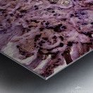 Lavendar Mist Metal print