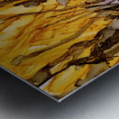 Goldenrod Giggles Metal print
