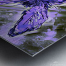 Clarence in Purple Metal print