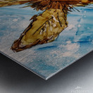 Clarence Metal print