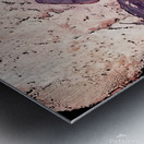 Caught in a Fossil Metal print