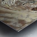 Coki Metal print