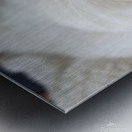 PuppyTail Metal print