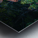 Elk Mountain  Impression metal