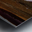 Longhorn Sunrise Metal print