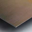 IMG 8475 Metal print