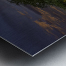 Logan Berry Metal print