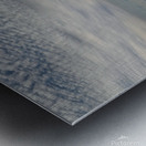 The Rite of passage  Metal print