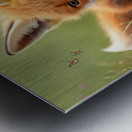 Cute little Fox Kit Metal print