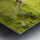 CO 2023 Elk1 Metal print