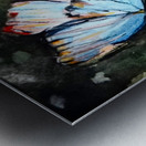 ButterflyAndTheMushroomPatch Metal print