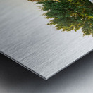 Beautiful view from the top of the Osorcica Televrina mountain on the island of Losinj Croatia Metal print