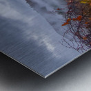 Cades Cove Foggy Morning Metal print