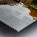 Shakespeare Park Montgomery Alabama  Metal print