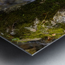 Blue Ridge Parkway Mountain Stream in  Autumn Metal print