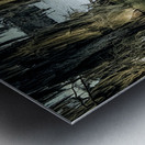 Lake Martin Winter Sun Metal print