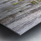 Atchafalaya National Preserve Cypress Trees Metal print