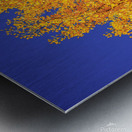 Yellow  Ginkgo Biloba Leaves Metal print