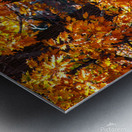 Mighty Oaks in Their Fall Robes Metal print