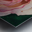 Be My Valentine Metal print