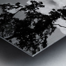 Meadow Metal print