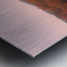 Colourful trees Metal print